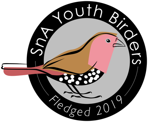 SnA Youth Birders podcast logo